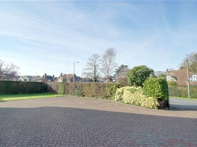Picture 23